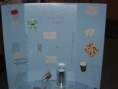/album/photo-gallery-homepage/science-fair-020-jpg/